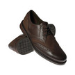 Barbour Westoe Shoes / Mahogany