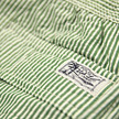 Polo Ralph Lauren Hawaiian Stripe Swim / Green