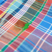 Polo Ralph Lauren SS Custom Check Shirt / Blue